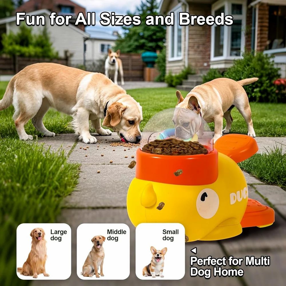 ✨Feedora™Interactive Pet🐾Feeder🍽️