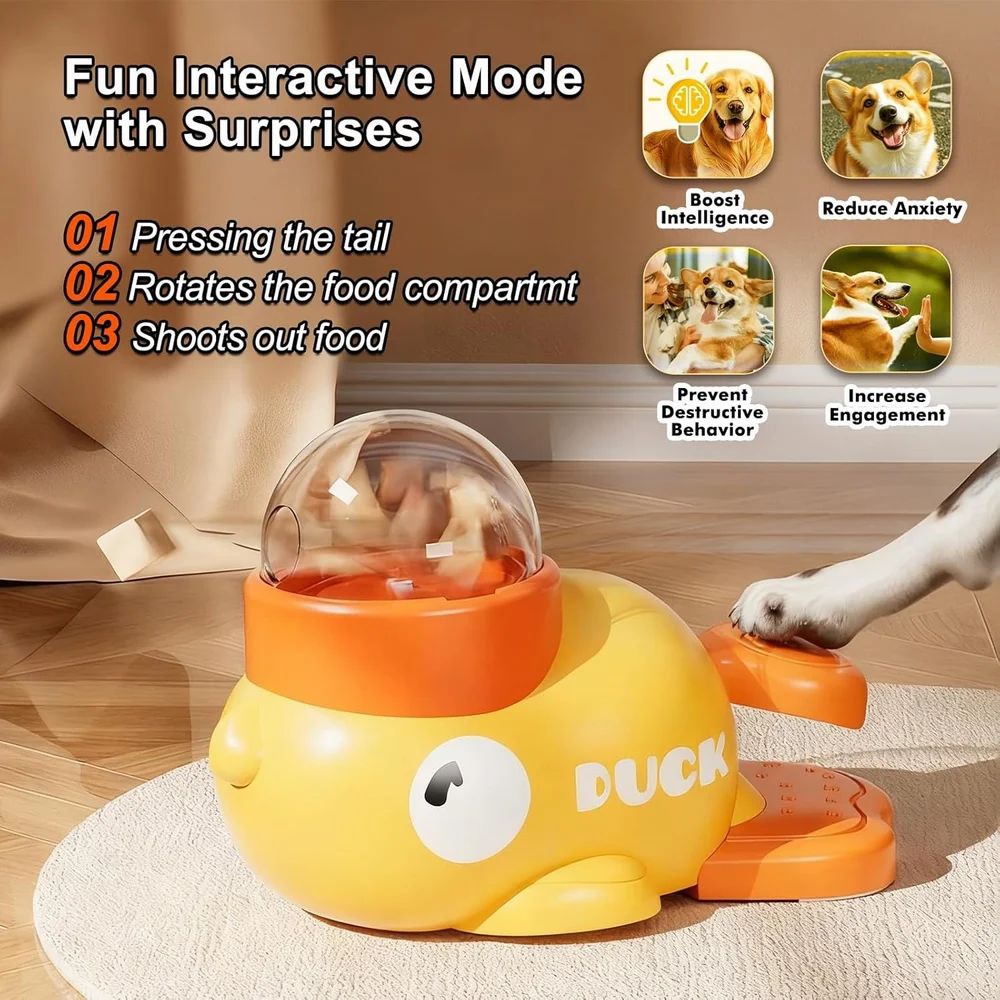 ✨Feedora™Interactive Pet🐾Feeder🍽️